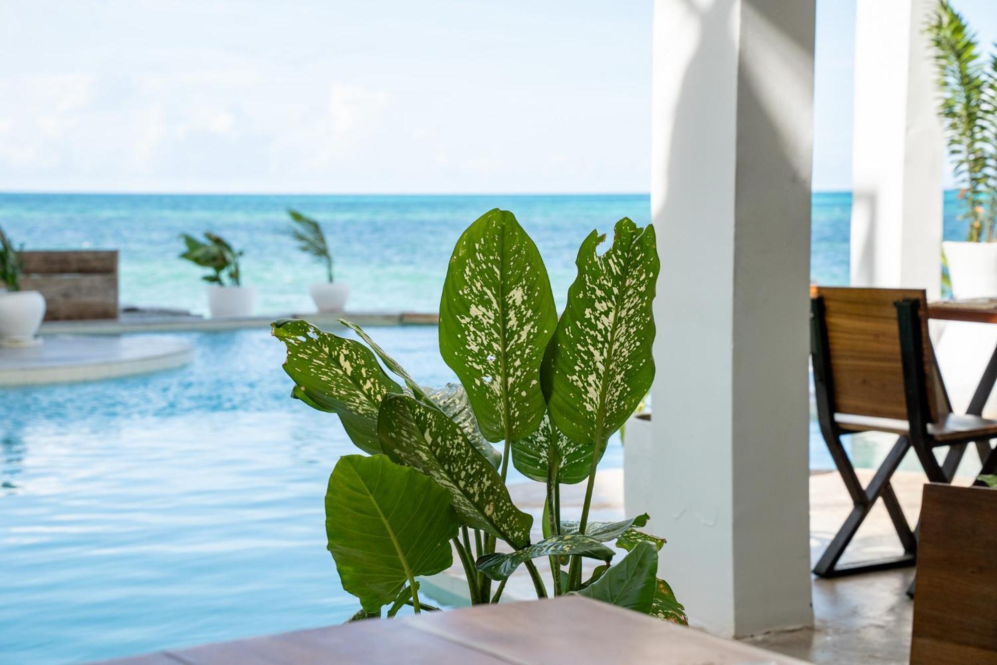 Pili Pili Tropical Island Hotel Jambiani  Ngoại thất bức ảnh